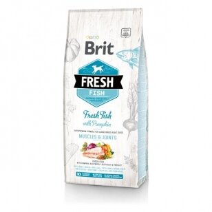 BRIT FRESH FISH with PUMPKIN ADULT LARGE BREED
