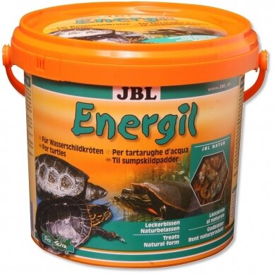 JBL ENERGIL 2