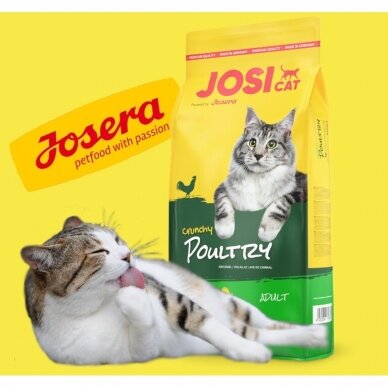 JOSERA JosiCat CRUNCHY POULTRY, 10 kg 1